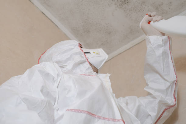 Best Toxic Mold Removal  in Ellsworth, WI