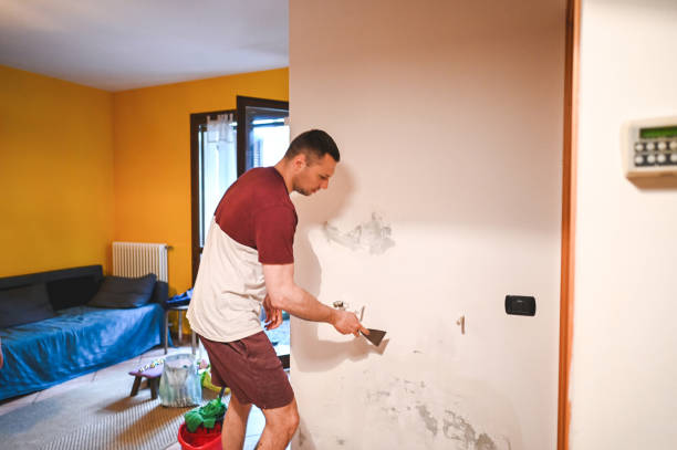 Best Residential Mold Removal  in Ellsworth, WI